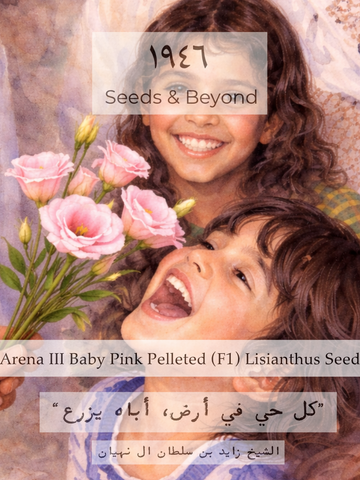 Arena III Baby Pink
Pelleted (F1) Lisianthus Seed
