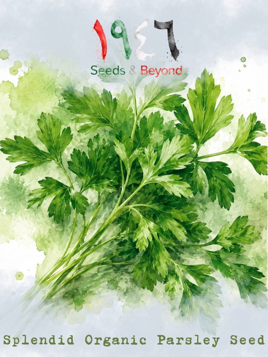Hamayel Vegetables