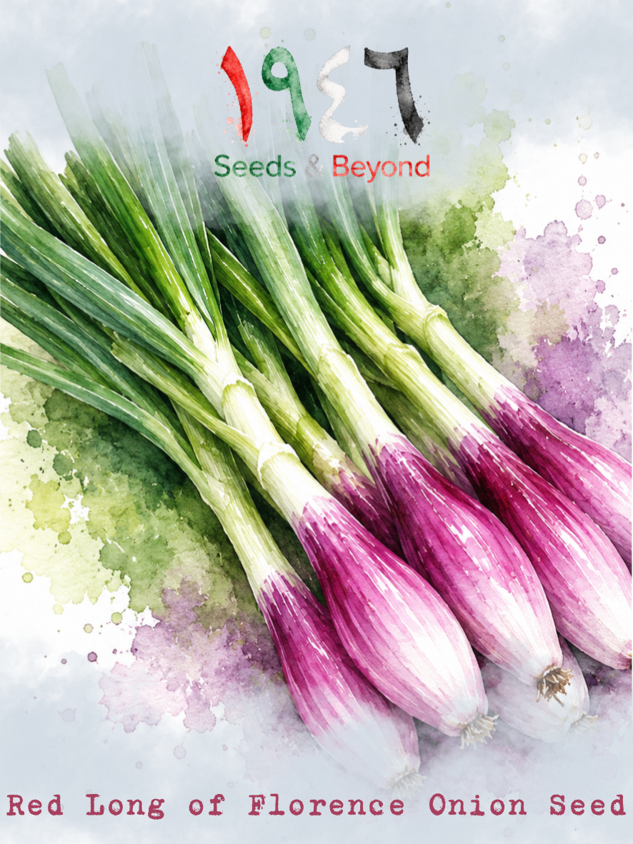 Hamayel Vegetables