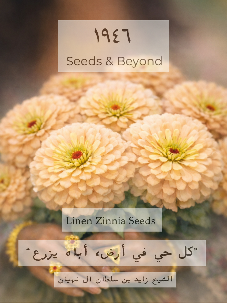 Linen Zinnia Seed
