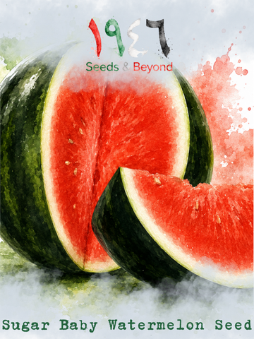 Hamayel Vegetables