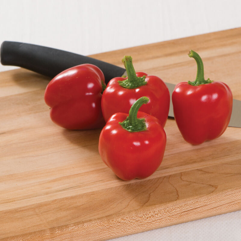 Cupid
Organic (F1) Bell Pepper Seed