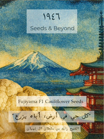 Fujiyama
(F1) Cauliflower Seed