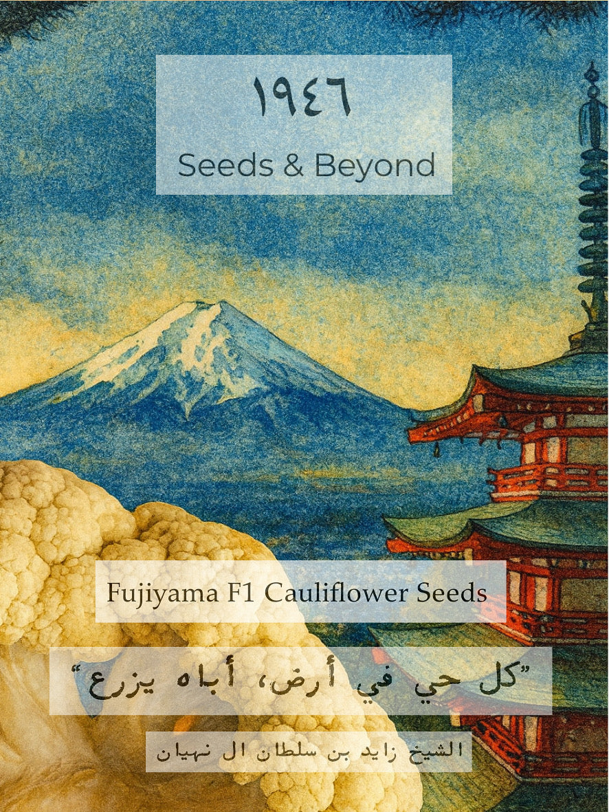 Fujiyama
(F1) Cauliflower Seed