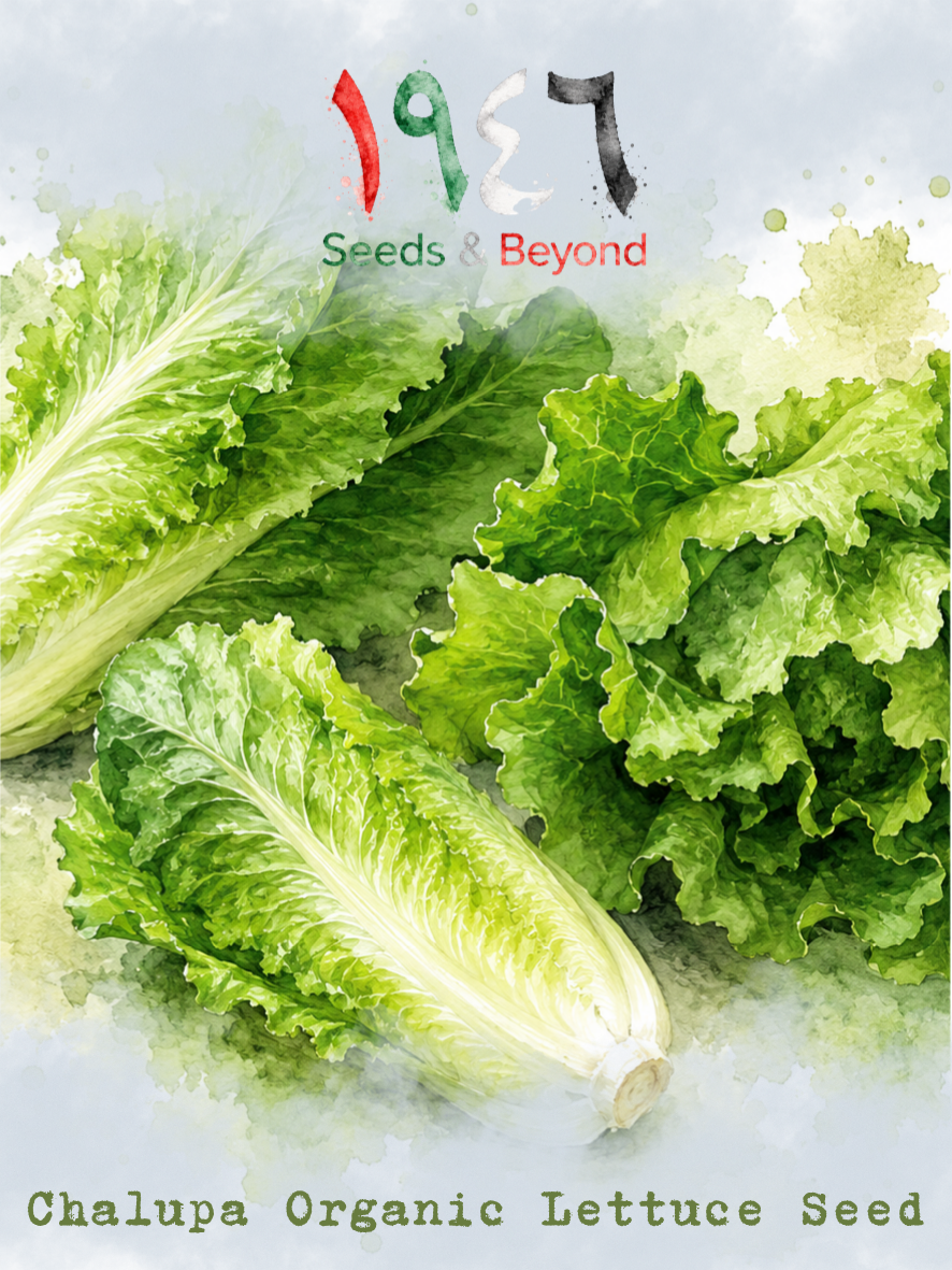 Hamayel Vegetables