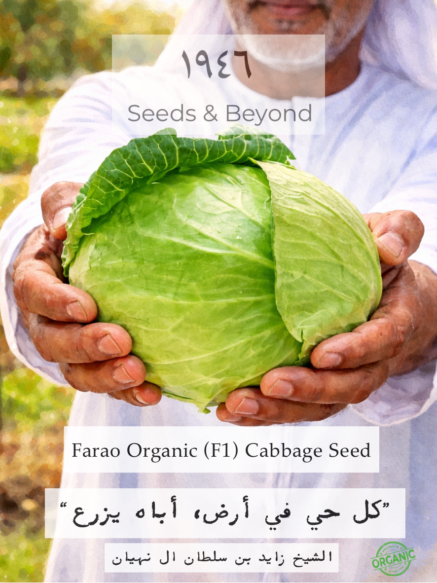 Farao
Organic (F1) Cabbage Seed
