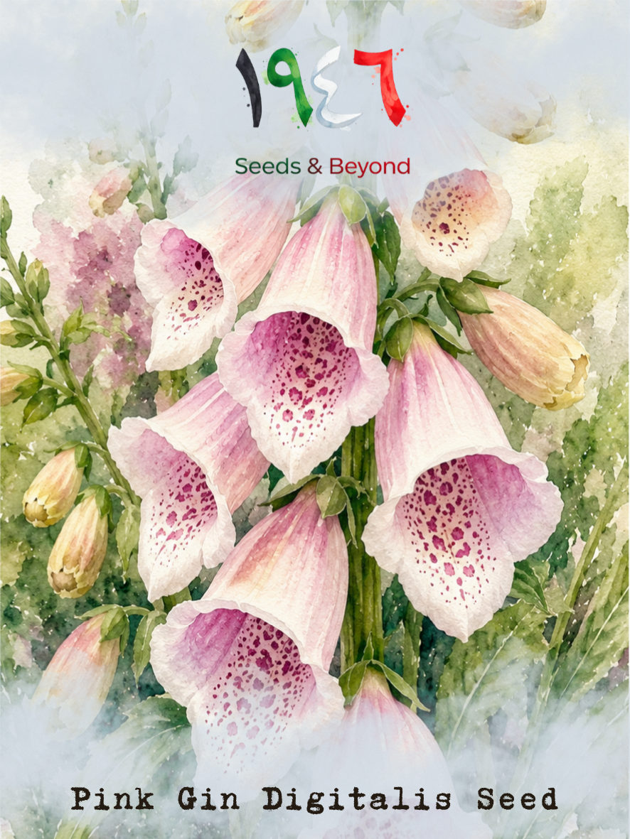 Hamayel Flower