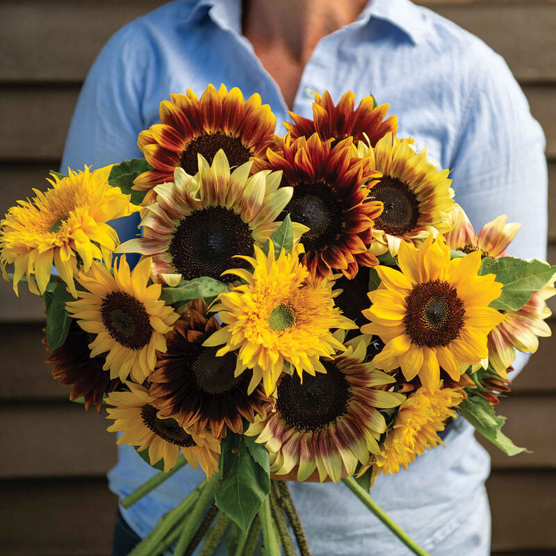 Summer Breeze Mix
Sunflower Seed