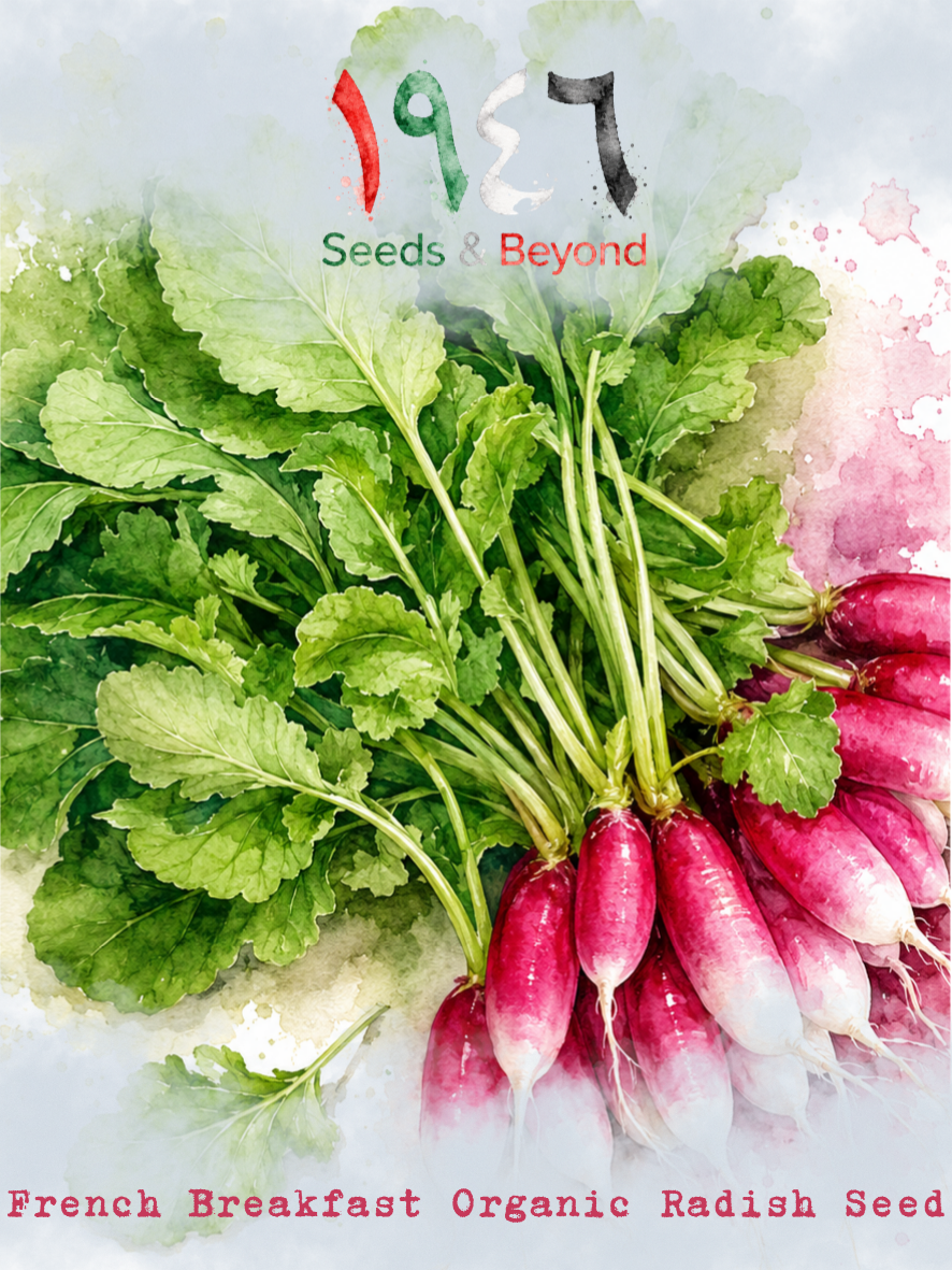 Hamayel Vegetables