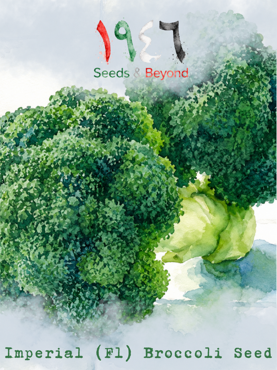 Hamayel Vegetables