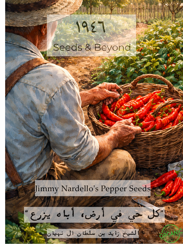 Jimmy Nardello Peppers