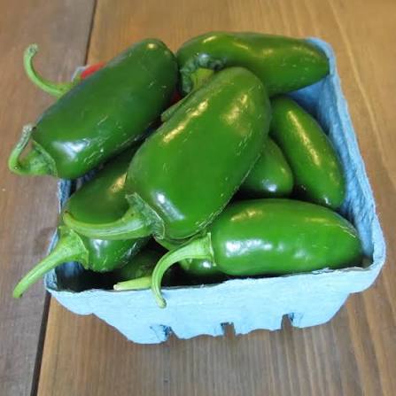 Tam Jalapeño Pepper
