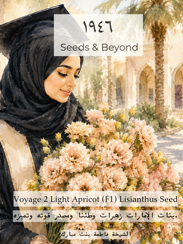 Voyage 2 Light Apricot
Pelleted (F1) Lisianthus