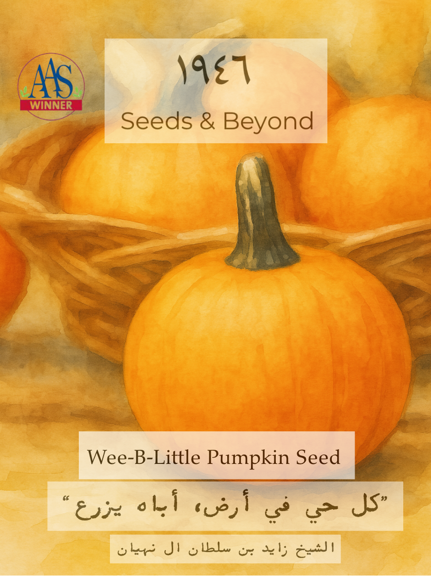 Wee-B-Little
Pumpkin Seed