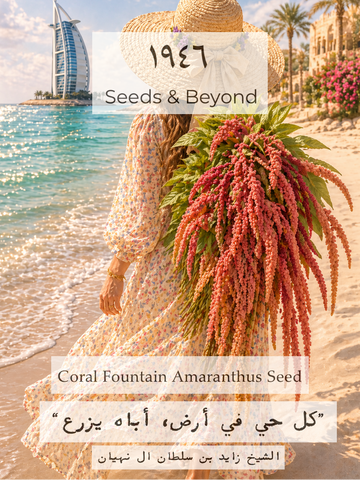 Coral Fountain
Amaranthus Seed
