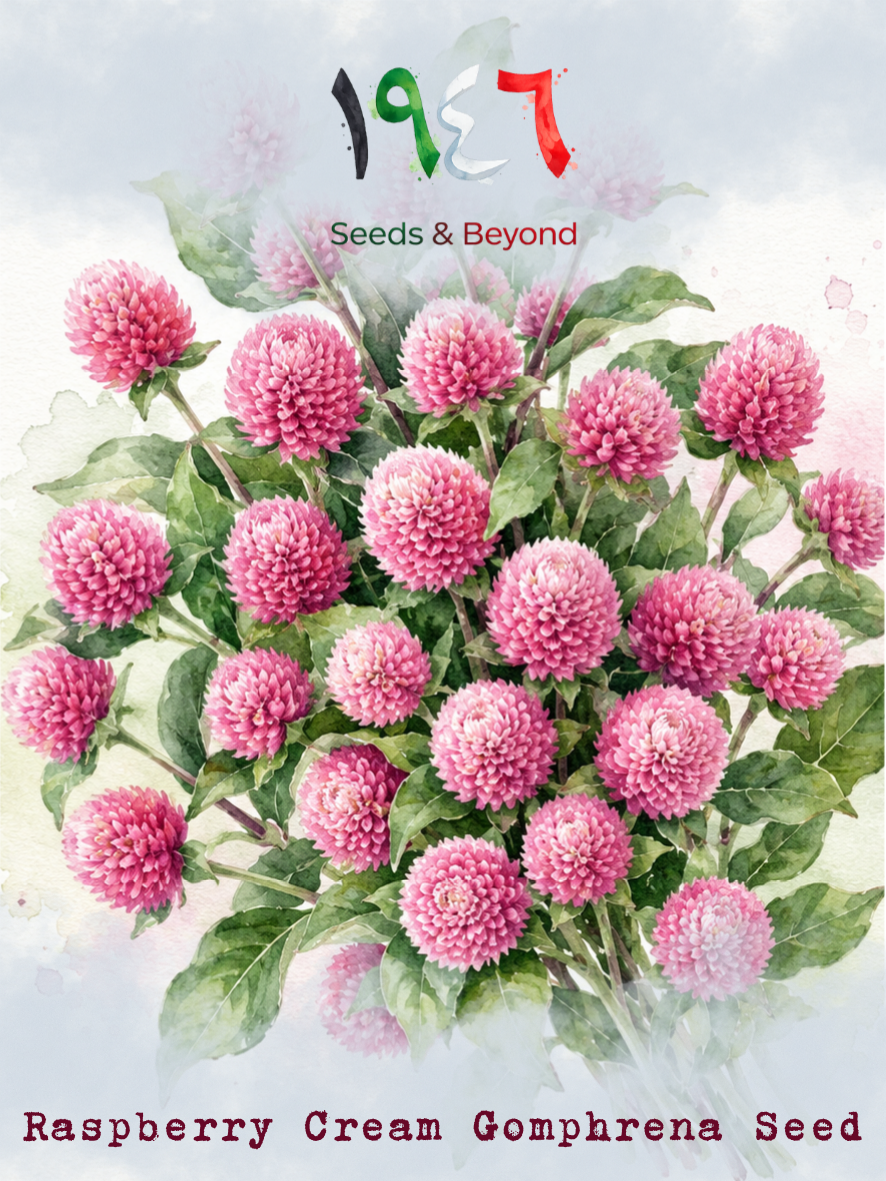 Hamayel Flower