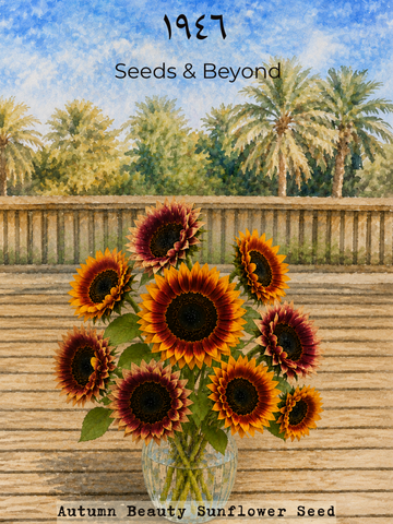 Autumn Beauty
Sunflower Seed