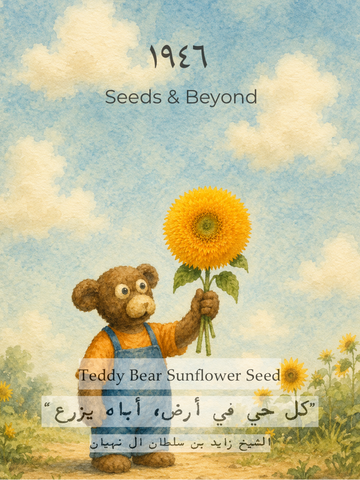 Teddy Bear Sunflower Seed