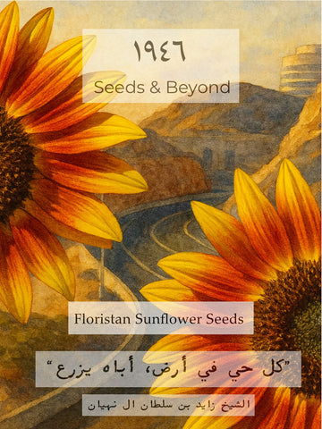 Floristan Sunflower