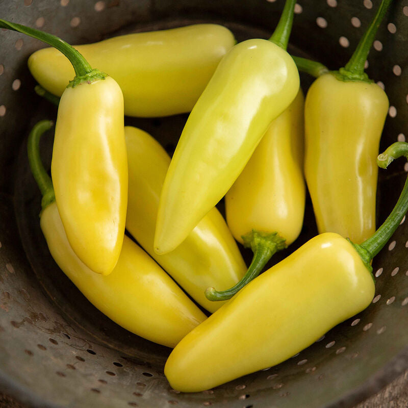 Arriba
(F1) Jalapeño Pepper Seed