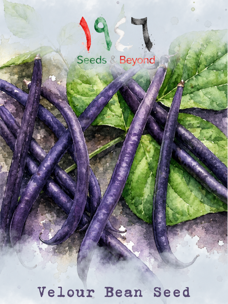 Hamayel Vegetables
