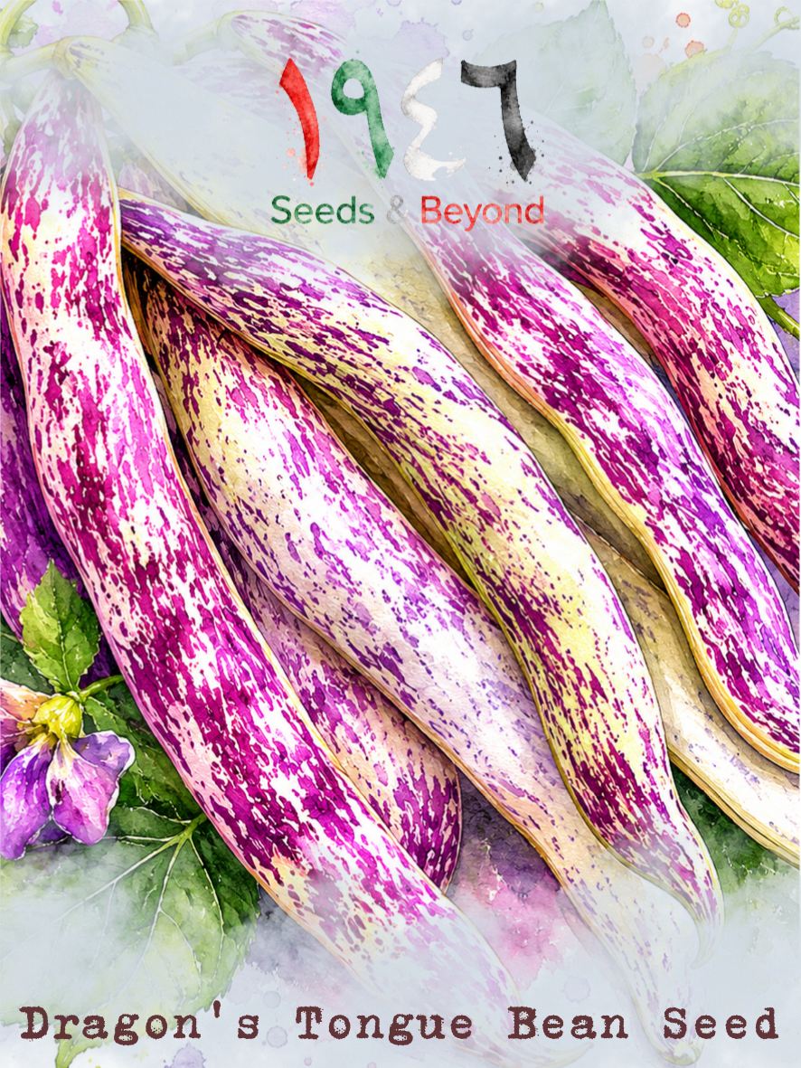 Hamayel Vegetables