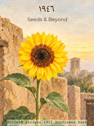 ProCut® Horizon
(F1) Sunflower Seed