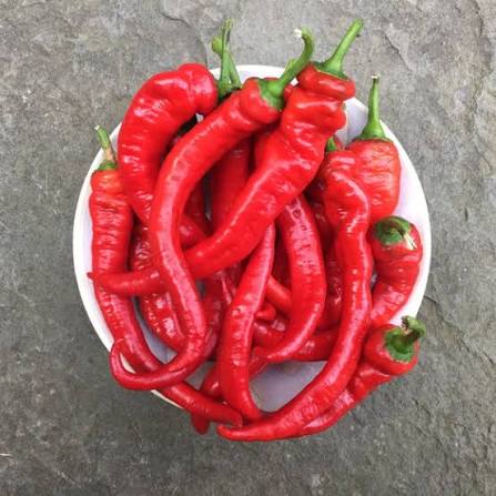 Jimmy Nardello Peppers