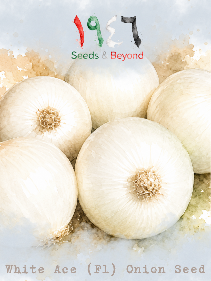 Hamayel Vegetables