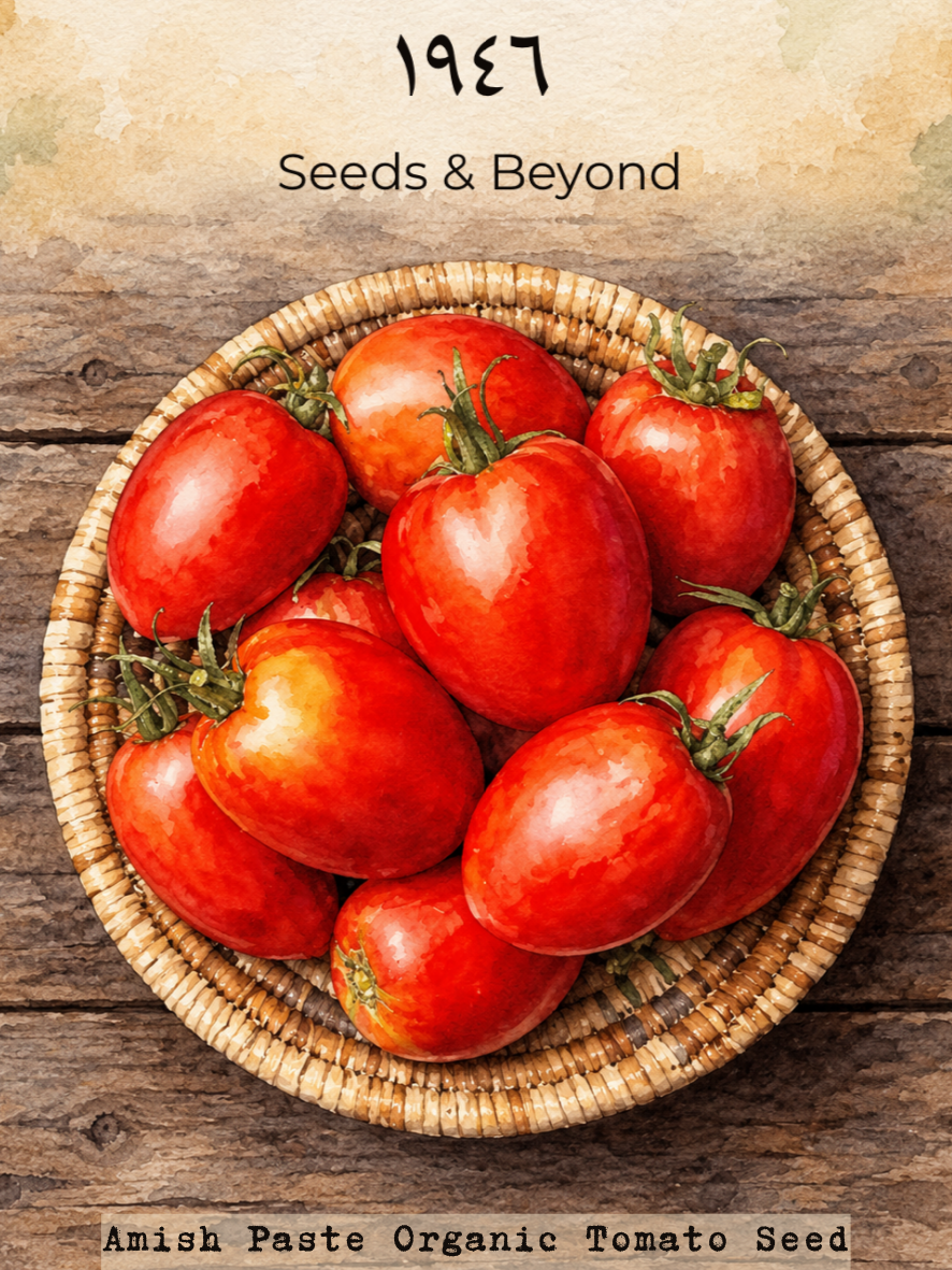 Amish Paste
Organic Tomato Seed