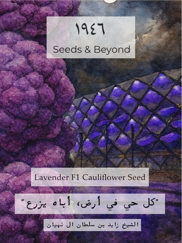 Lavender
(F1) Cauliflower Seed