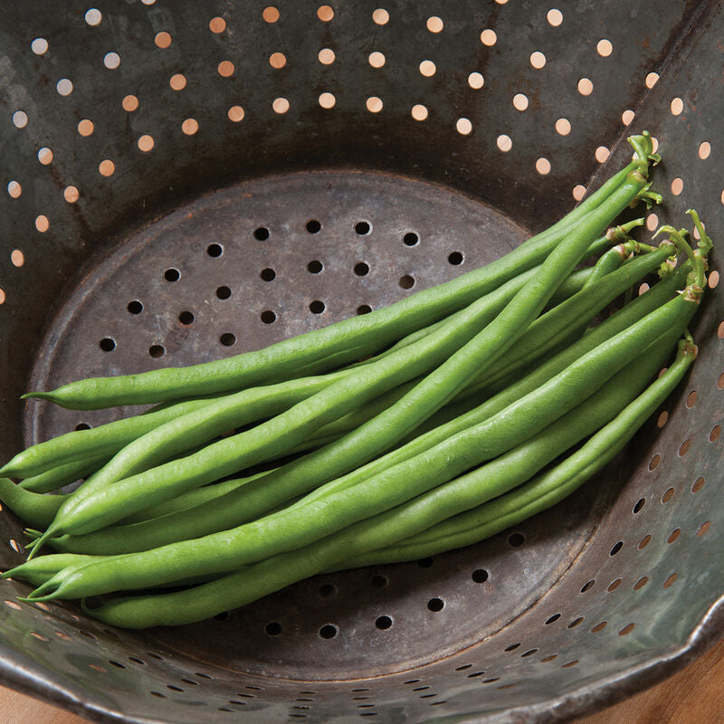 Jade Beans