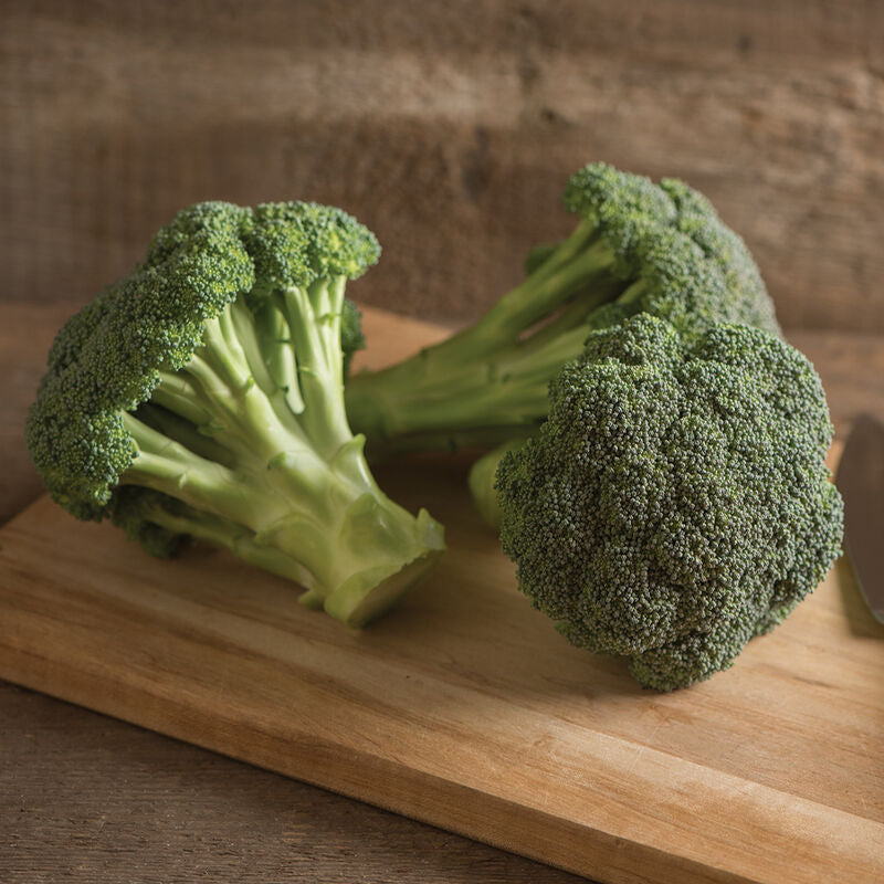 Green Magic
(F1) Broccoli Seed