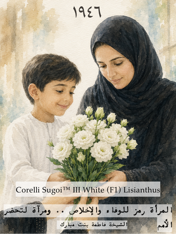 Corelli Sugoi™ III White
Pelleted (F1) Lisianthus