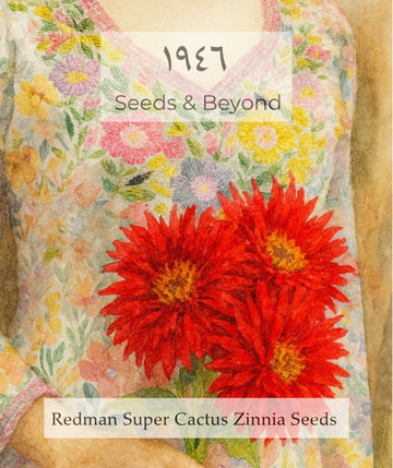 Redman Super Cactus Zinnia Seed