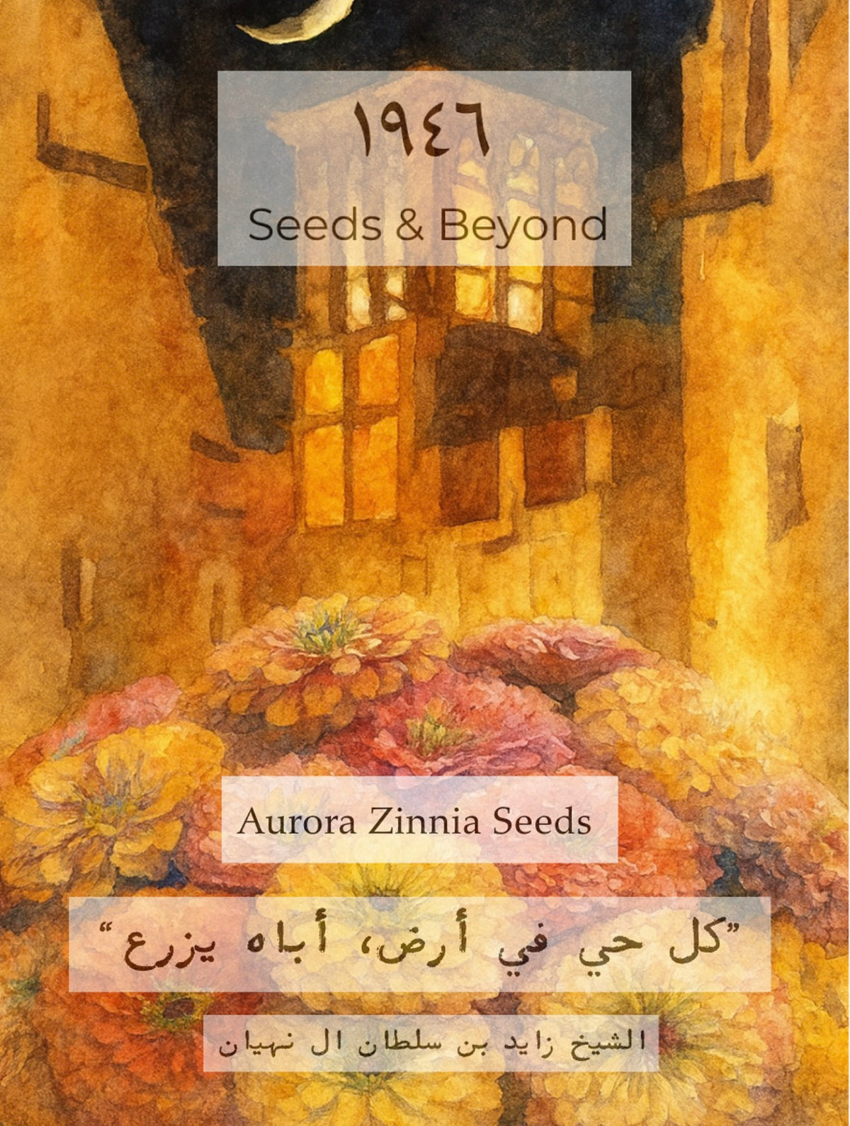 Aurora Zinnia