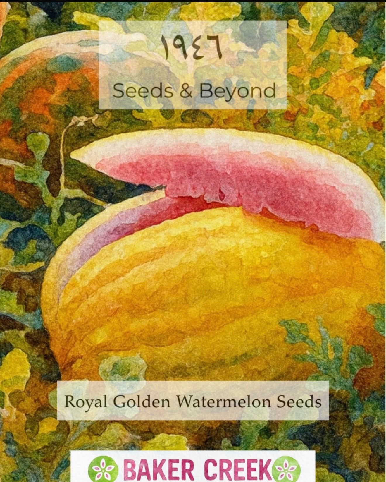 Royal Golden Watermelon