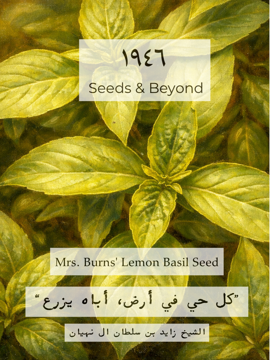 Mrs Burn’s Lemon Basil Seed