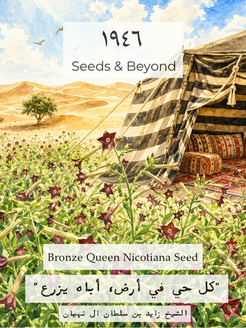 Bronze Queen
Nicotiana Seed