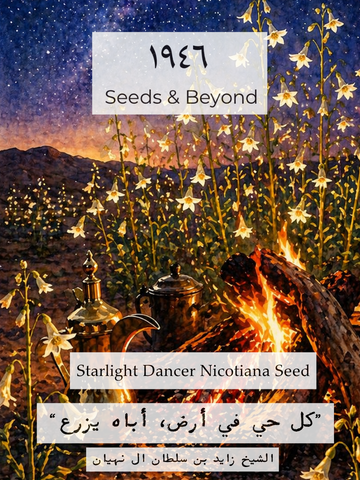 Starlight Dancer
Nicotiana Seed