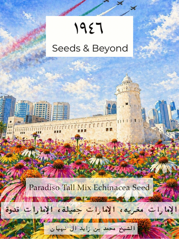 Paradiso Tall Mix
Echinacea Seed