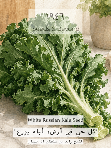White Russian Kale