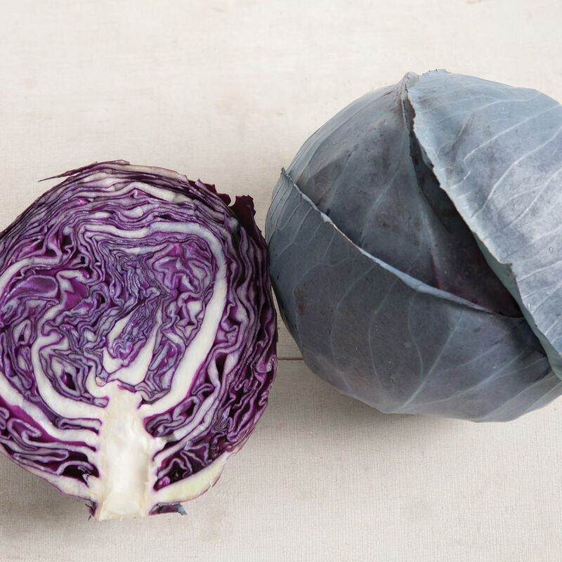 Omero
(F1) Cabbage Seed