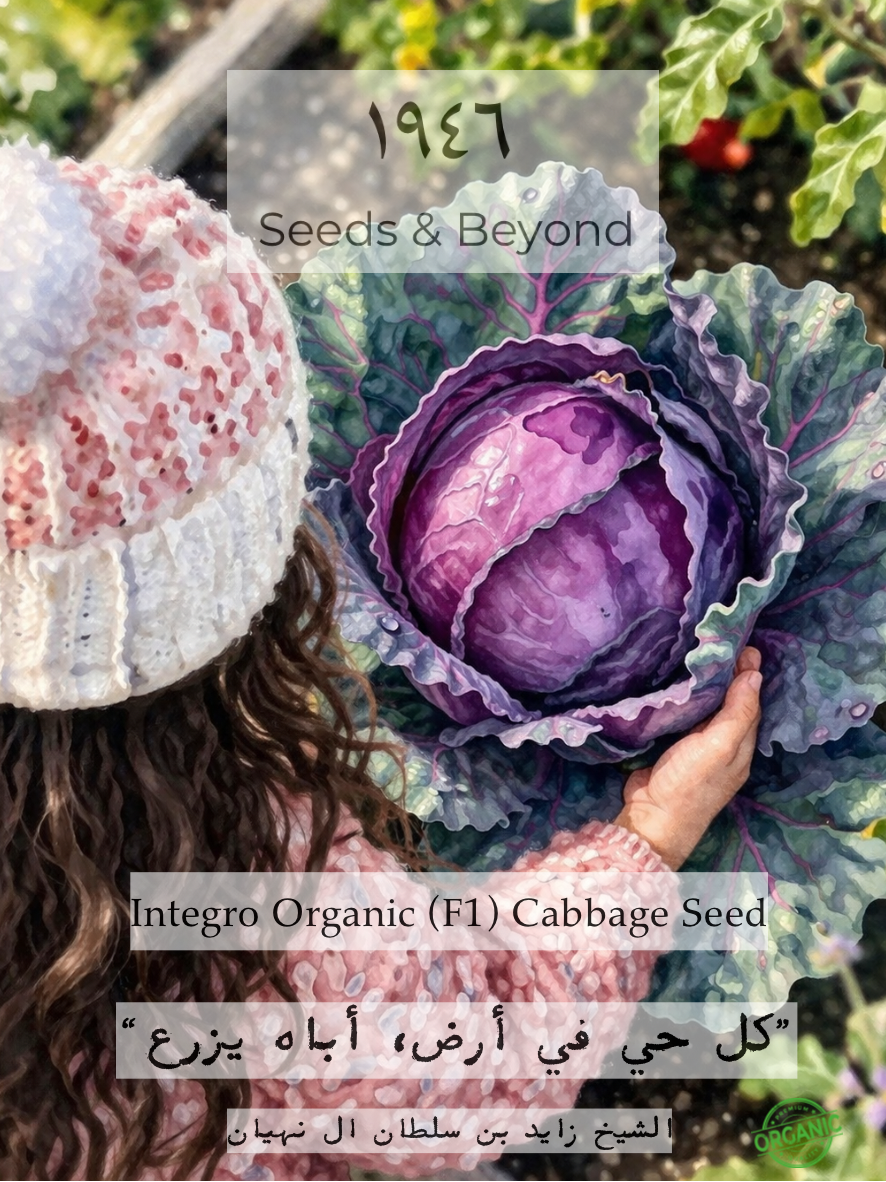 Integro
Organic (F1) Cabbage Seed