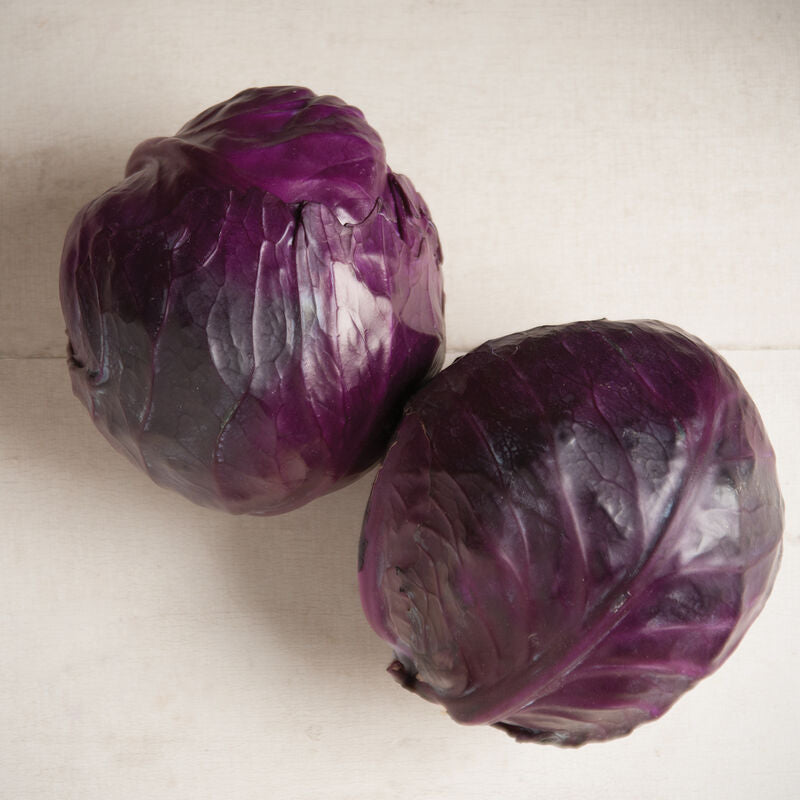 Integro
Organic (F1) Cabbage Seed
