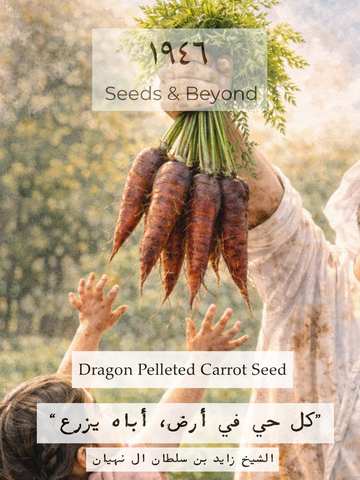 Dragon
Pelleted Carrot Seed