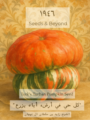 Turk's Turban
Pumpkin Seed