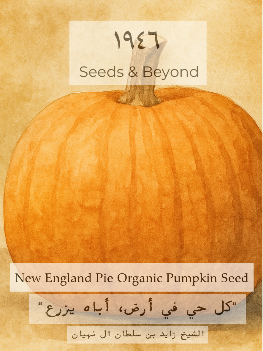 New England Pie
Organic Pumpkin Seed