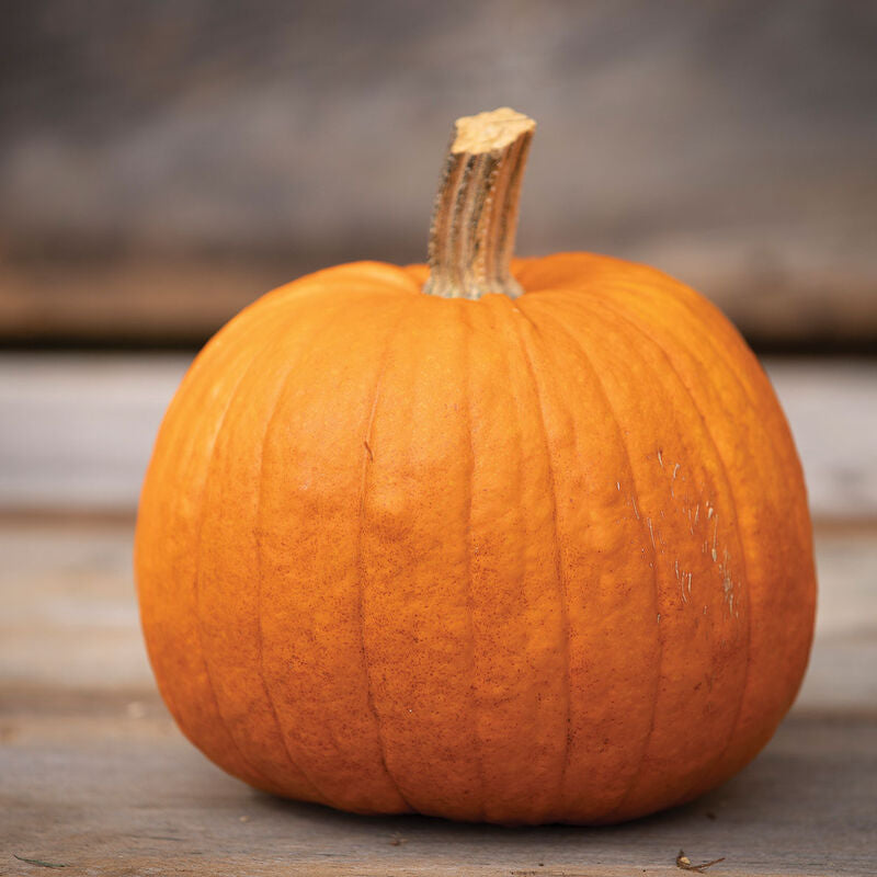 New England Pie
Organic Pumpkin Seed