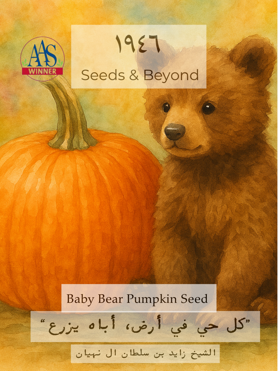 Baby Bear
Pumpkin Seed